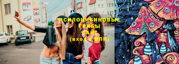 ПСИЛОЦИБИНОВЫЕ ГРИБЫ Абинск