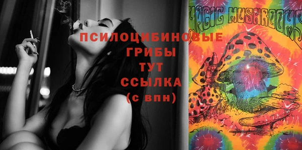 ПСИЛОЦИБИНОВЫЕ ГРИБЫ Абинск