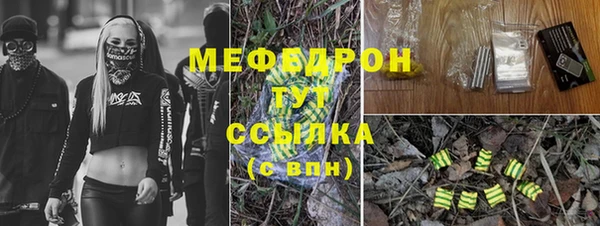 дмт Абаза