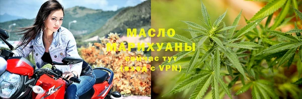 дмт Абаза