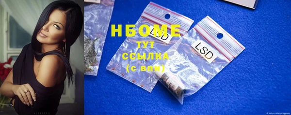 гашик Алексин