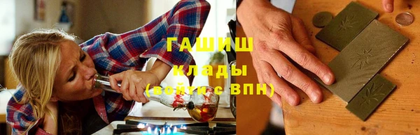 гашик Алексин